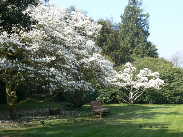 Bois des Moutiers (65) mars 2012